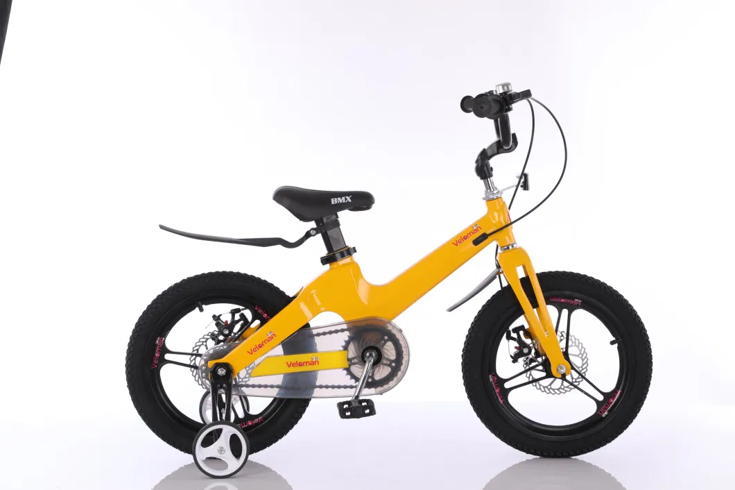 12" 14" 16" 18" Magnesium Alloy Integrated Frame Wheel Fork Children Kids Bicycle with Training Wheels Inner Brake Cable